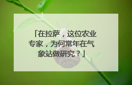在拉萨，这位农业专家，为何常年在气象站做研究？