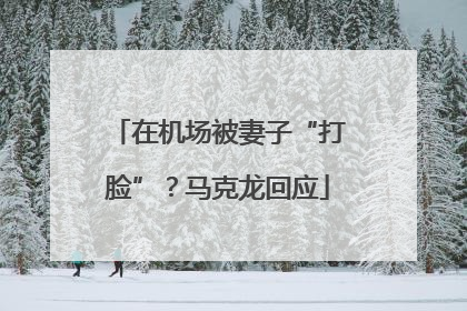 在机场被妻子“打脸”？马克龙回应