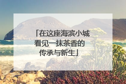 在这座海滨小城 看见一抹茶香的传承与新生