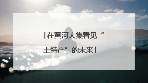 在黄河大集看见“土特产”的未来