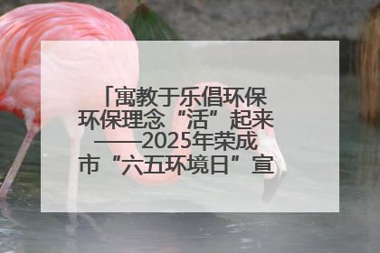 寓教于乐倡环保 环保理念“活”起来——2025年荣成市“六五环境日”宣传活动圆满举行