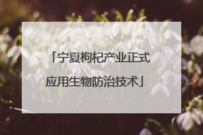 宁夏枸杞产业正式应用生物防治技术