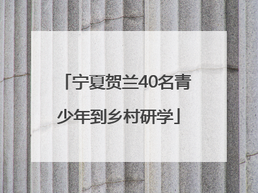 宁夏贺兰40名青少年到乡村研学