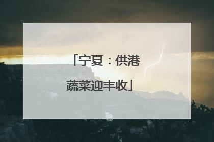 宁夏：供港蔬菜迎丰收