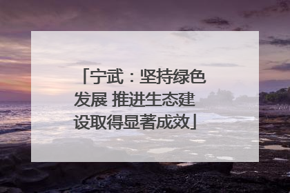 宁武：坚持绿色发展 推进生态建设取得显著成效