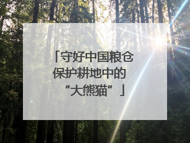 守好中国粮仓 保护耕地中的“大熊猫”