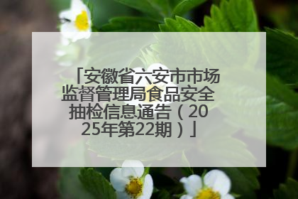 安徽省六安市市场监督管理局食品安全抽检信息通告（2025年第22期）