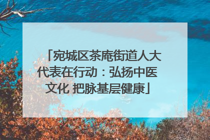 宛城区茶庵街道人大代表在行动：弘扬中医文化 把脉基层健康