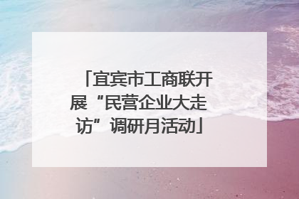 宜宾市工商联开展“民营企业大走访”调研月活动