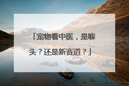 宠物看中医，是噱头？还是新赛道？
