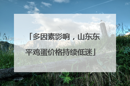 多因素影响，山东东平鸡蛋价格持续低迷