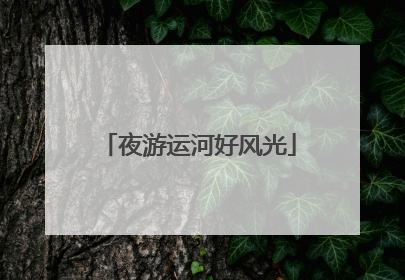 夜游运河好风光