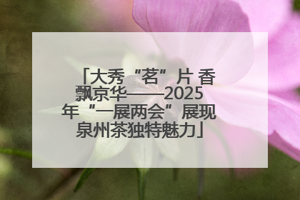 大秀“茗”片 香飘京华——2025年“一展两会”展现泉州茶独特魅力