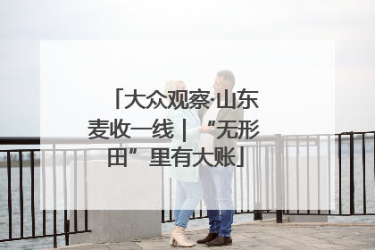 大众观察·山东麦收一线｜“无形田”里有大账