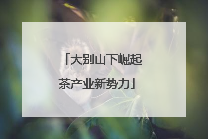 大别山下崛起茶产业新势力
