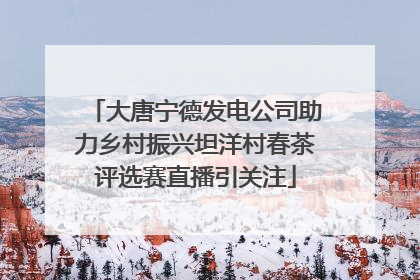 大唐宁德发电公司助力乡村振兴坦洋村春茶评选赛直播引关注