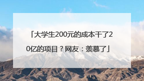 大学生200元的成本干了20亿的项目？网友：羡慕了