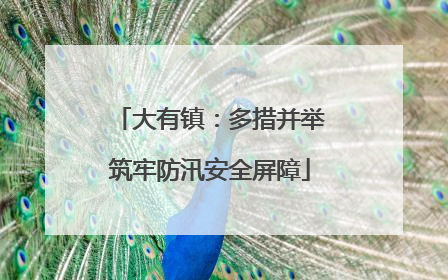 大有镇：多措并举筑牢防汛安全屏障
