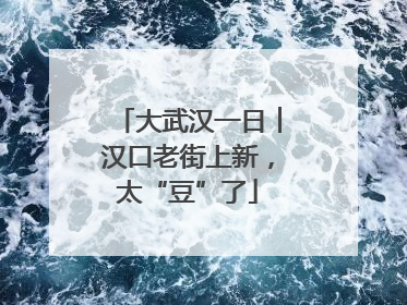 大武汉一日︱汉口老街上新，太“豆”了