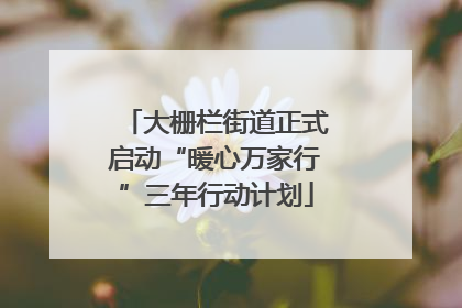 大栅栏街道正式启动“暖心万家行”三年行动计划