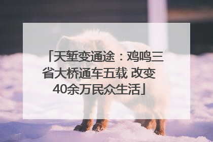 天堑变通途：鸡鸣三省大桥通车五载 改变40余万民众生活