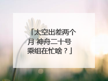 太空出差两个月 神舟二十号乘组在忙啥？