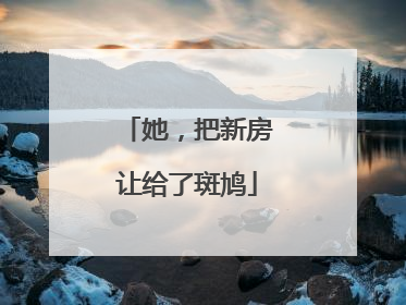 她，把新房让给了斑鸠