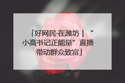 好网民·在潍坊｜“小高书记正能量”直播 带动群众致富