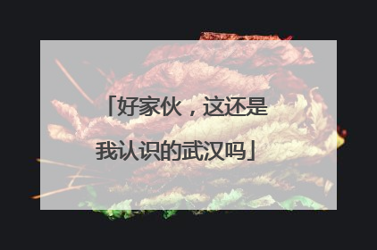 好家伙，这还是我认识的武汉吗