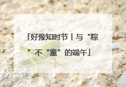 好豫知时节丨与“粽”不“童”的端午