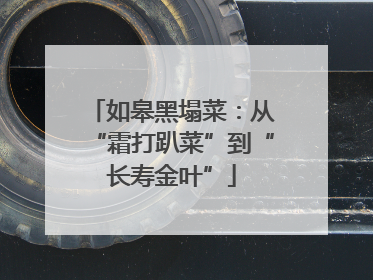 如皋黑塌菜：从“霜打趴菜”到“长寿金叶”