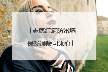 志愿红筑防汛墙 保畅通暖司乘心