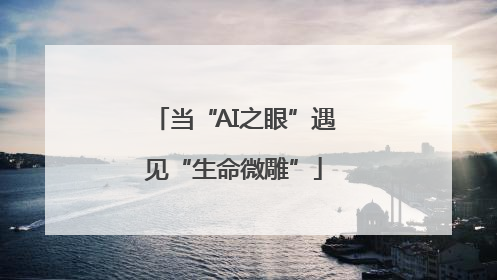 当“AI之眼”遇见“生命微雕”