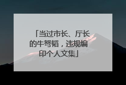 当过市长、厅长的牛弩韬，违规编印个人文集