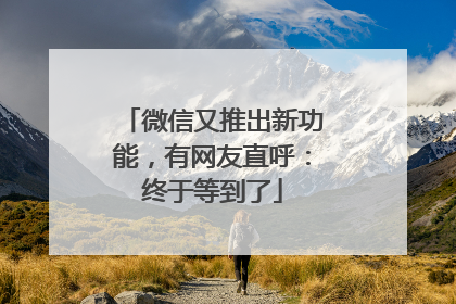 微信又推出新功能，有网友直呼：终于等到了