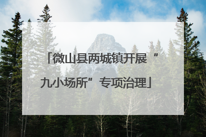 微山县两城镇开展“九小场所”专项治理