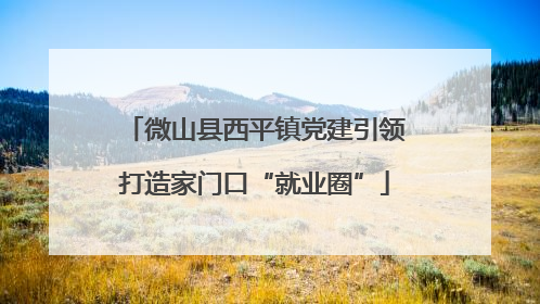 微山县西平镇党建引领打造家门口“就业圈”