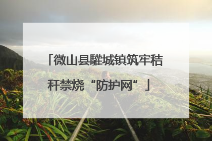 微山县驩城镇筑牢秸秆禁烧“防护网”