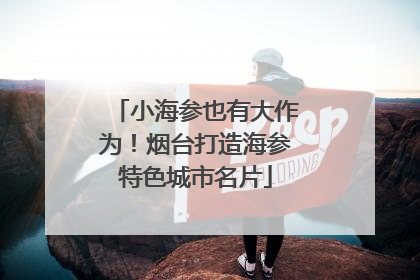 小海参也有大作为！烟台打造海参特色城市名片