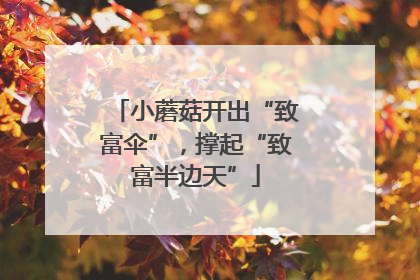 小蘑菇开出“致富伞”，撑起“致富半边天”