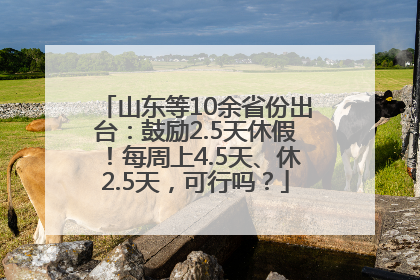 山东等10余省份出台：鼓励2.5天休假！每周上4.5天、休2.5天，可行吗？