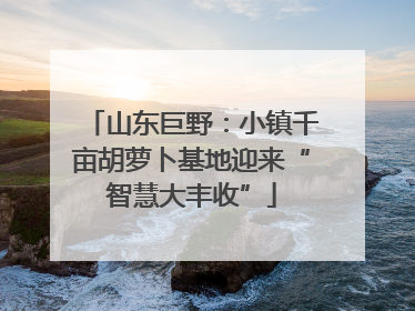 山东巨野：小镇千亩胡萝卜基地迎来“智慧大丰收”
