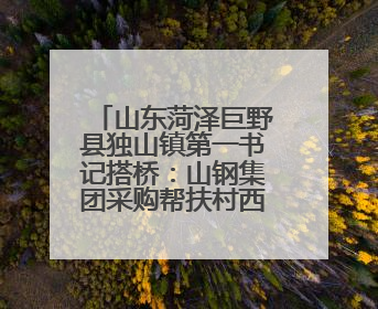 山东菏泽巨野县独山镇第一书记搭桥：山钢集团采购帮扶村西瓜助农增收