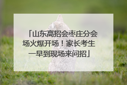 山东高招会枣庄分会场火爆开场！家长考生一早到现场来问招