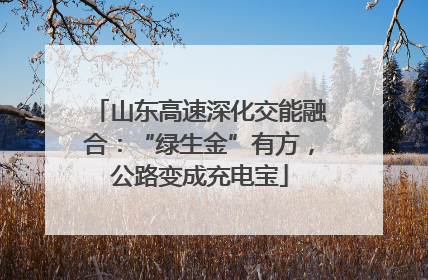 山东高速深化交能融合：“绿生金”有方，公路变成充电宝