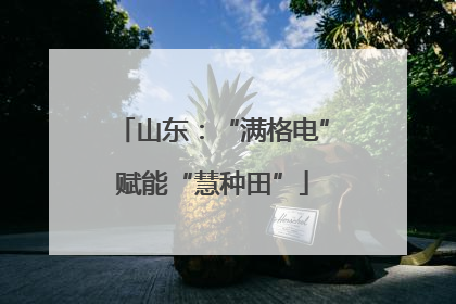 山东：“满格电”赋能“慧种田”