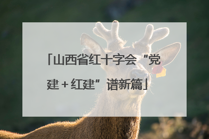 山西省红十字会“党建＋红建”谱新篇