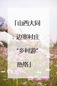 山西大同：边塞村庄“乡村游”热络