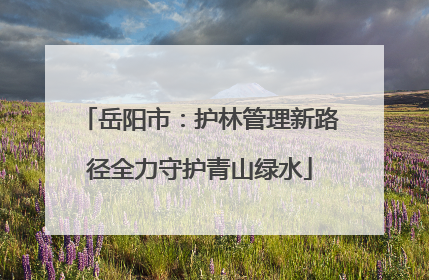 岳阳市：护林管理新路径全力守护青山绿水