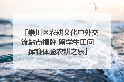 崇川区农耕文化中外交流站点揭牌 留学生田间挥镰体验农耕之乐